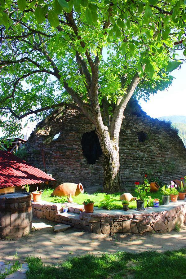 Hotel Beni Akhaltsikhe (Samtskhe-Javakheti) Exterior foto